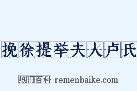 挽徐提举夫人卢氏是什么意思的图片